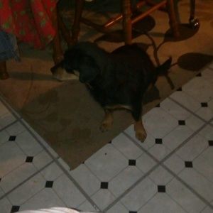 Meet your Posher, Raetta